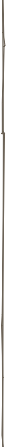 stroke